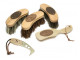 Borstiq Banana Brush Kit - 5 Pieces