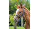Nylon Foal Slip