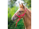 Nylon Foal Slip